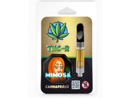 Photoroom 20251222 083431