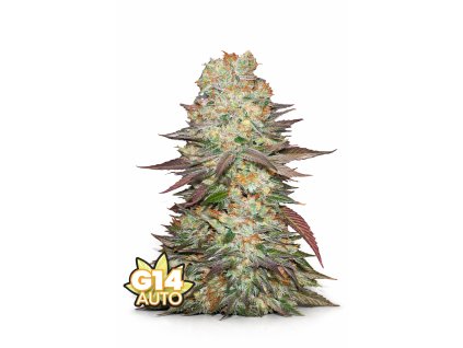 841F3FBA BCBF 4198 95AB F1FDB58077B6