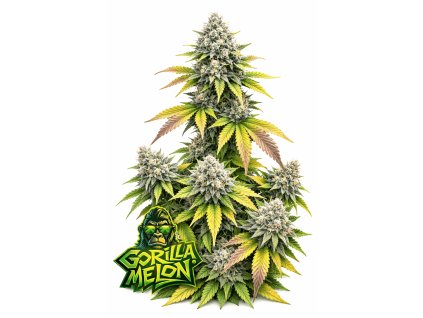 Gorilla Melon FEM v2 11zon