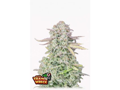 Trainwreck Original Auto