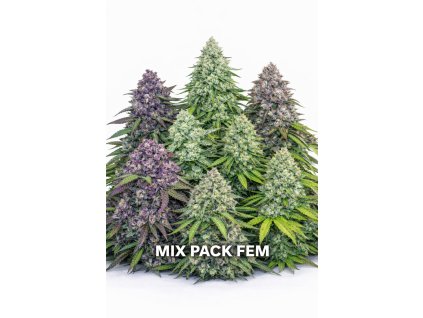 mix pack fem 2