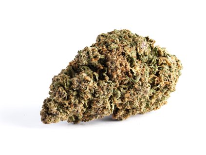 tropicana pro web nová