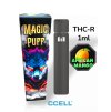 African Mango 1ML Vape THC-R