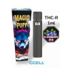 Blueberry 1ML Vape THC-R