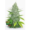 Sour Diesel Original Auto