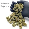 Amnesia popcorn CC11