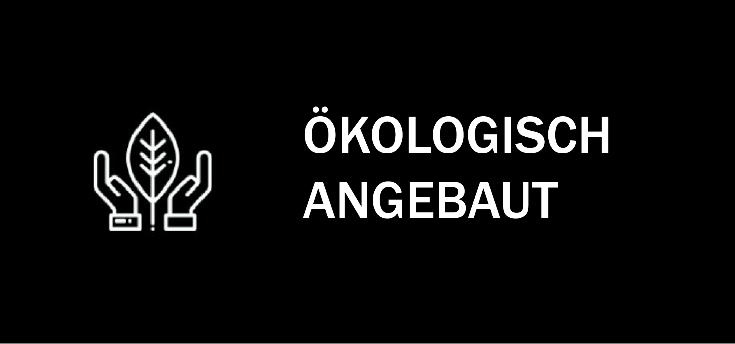 CBD-Produkte in Bio-Qualität