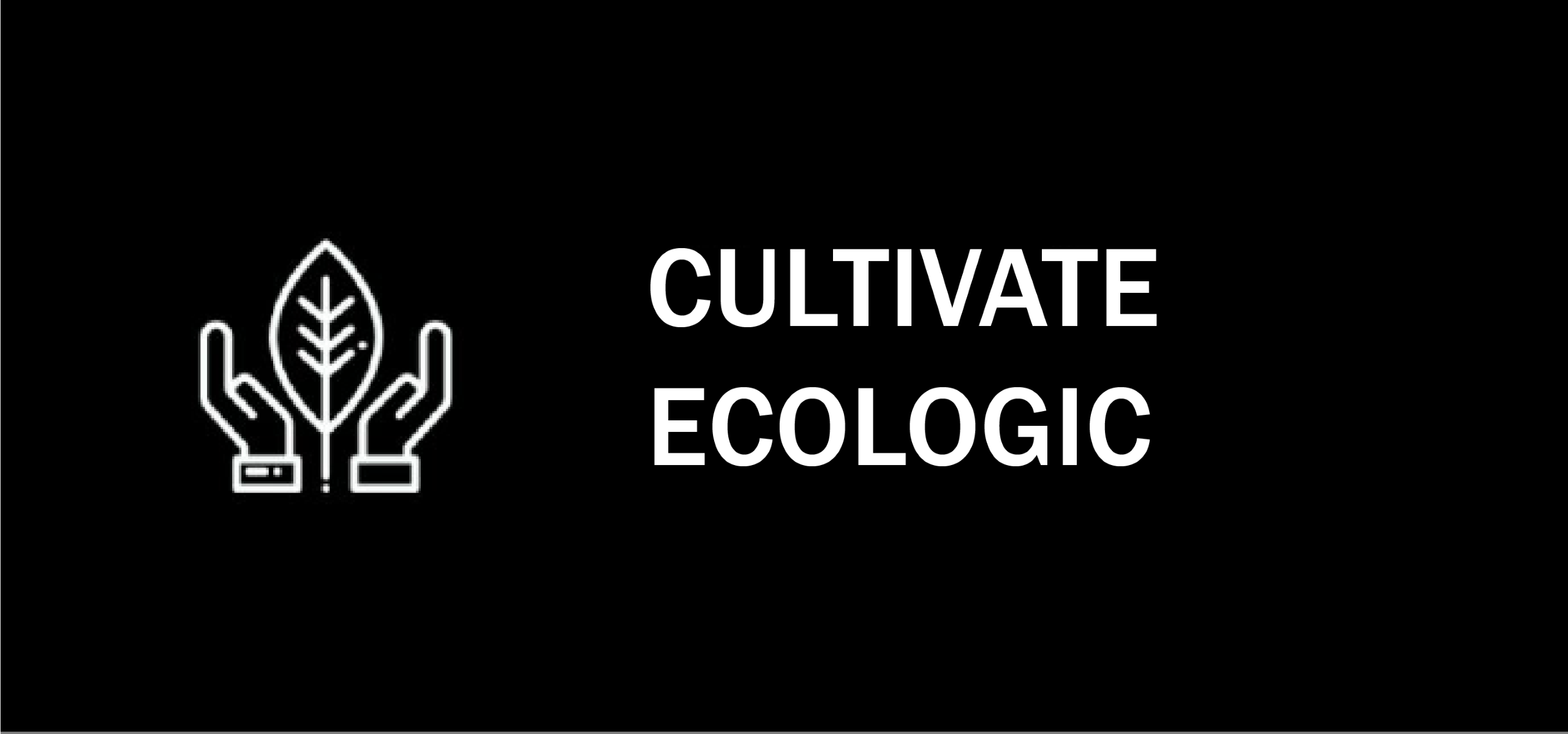 Produse CBD de calitate organică