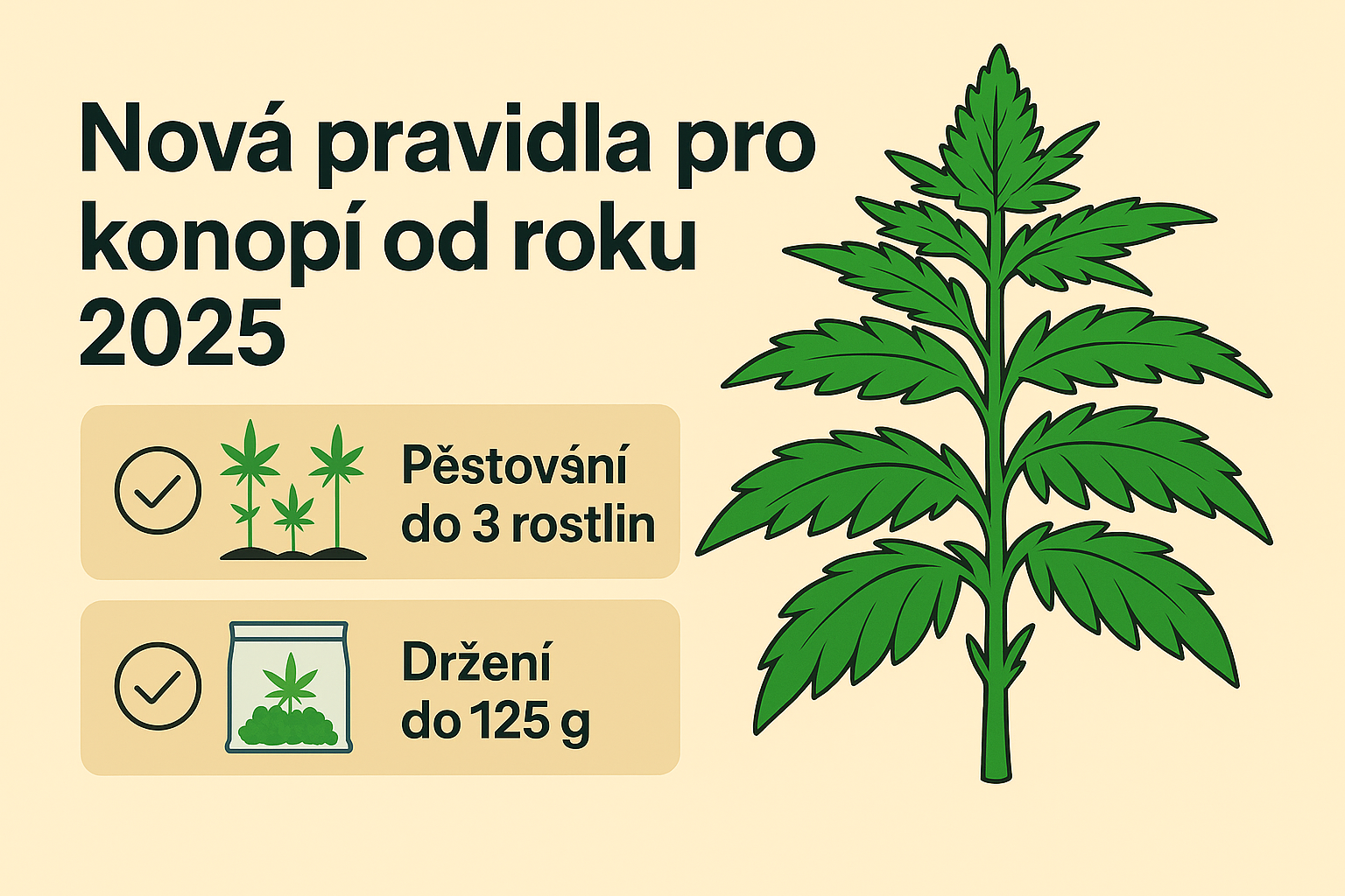 🔥 Pravda o legalizaci konopí 2025: Co vám politici neříkají a jak to ovlivní váš život
