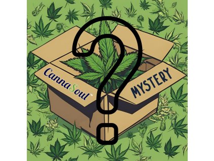 3871 small mystery box