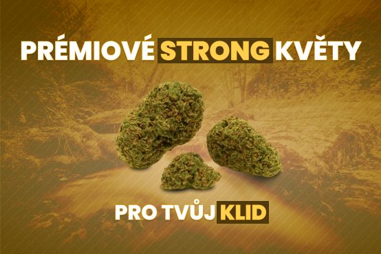Květy strong thc X cannavibe.cz