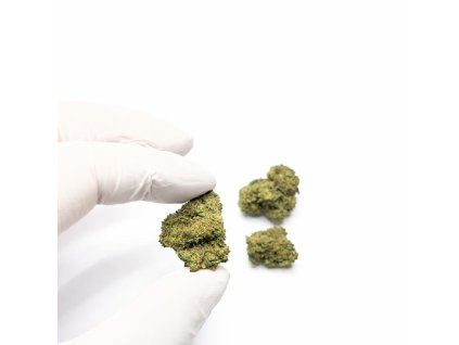 ORANGE bud thc X ruka