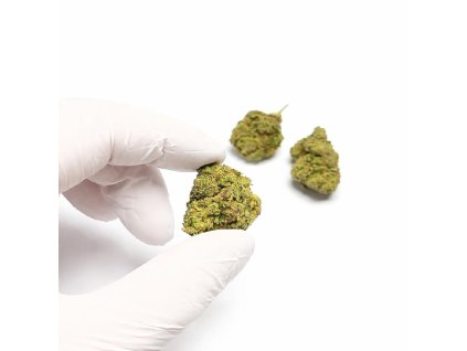 Phantom OG THC X ruka