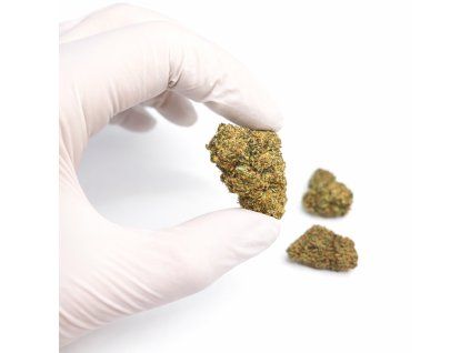 16E1DA78 5669 49CA 993E 6EDDF336F3BA