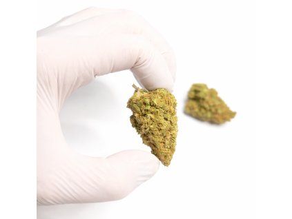 BCE21E63 5A5A 429E 8D5C 290BA92EEB19