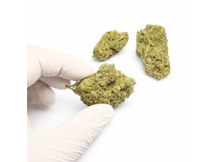 Northern Lights THC X CannaVibe ruka 2