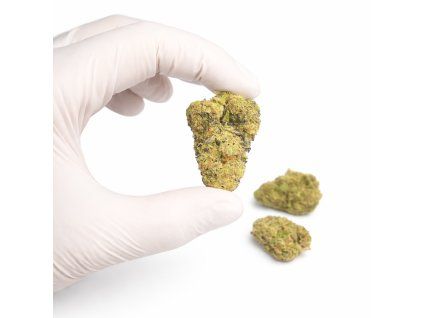 4C9E310E D37D 4F0C 8F5C 3DBF0F6D6448