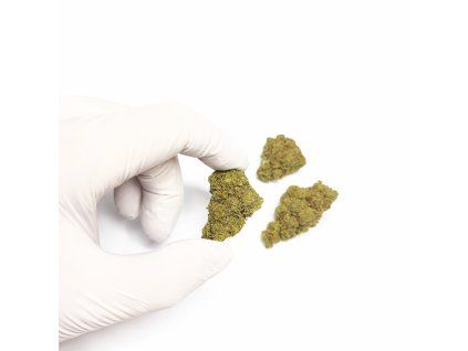 CF4865CD 2702 49D7 A1A0 73FF8F3EAE17