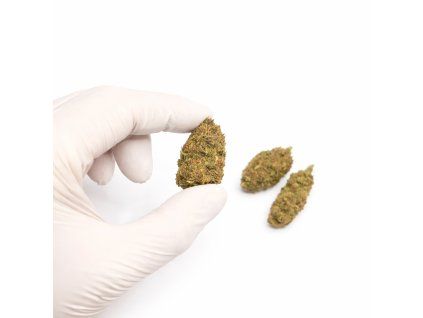 7A019C3B 05F2 4651 82ED A08EFDAA6F64