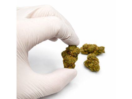 9126FE85 8066 4870 A184 E8F10D249137