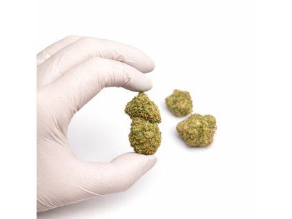 AF3AD920 EA2C 443A 9E7A 7CE7A33DB586