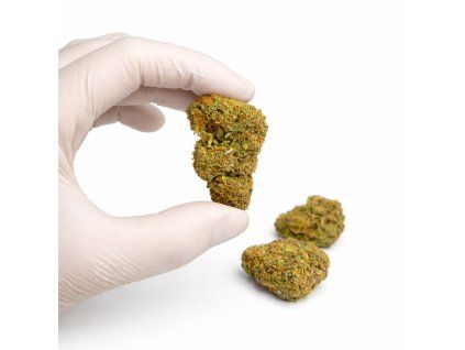 E648D375 142B 4DDD AB77 54D5E082B21F