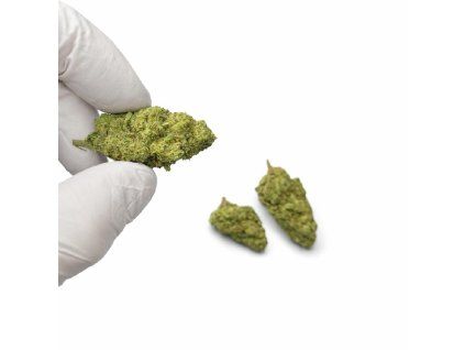 Forbideen fruit thc X ruka