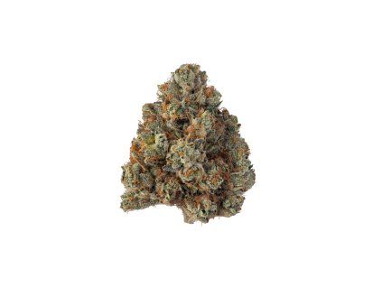 khalifa kush