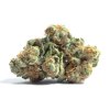 Apple Fritter 19% CBD 1g