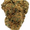 CBD KVEÌ TY ZUSHI 2
