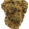 CBD KVEÌ TY ZUSHI 2