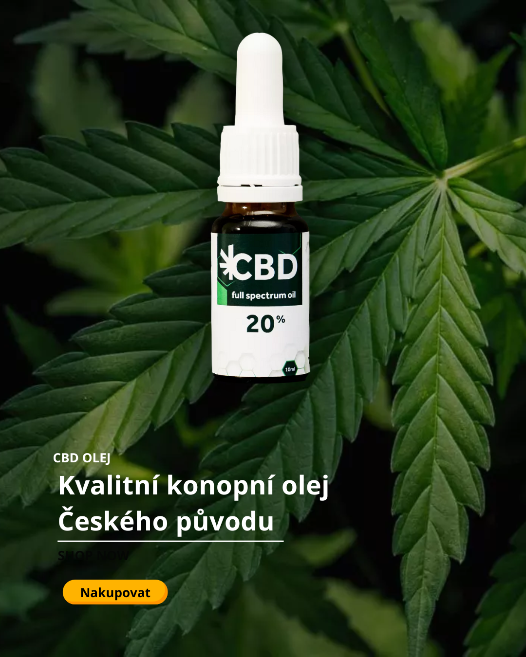 Kvalitní konopný olej Českého původu