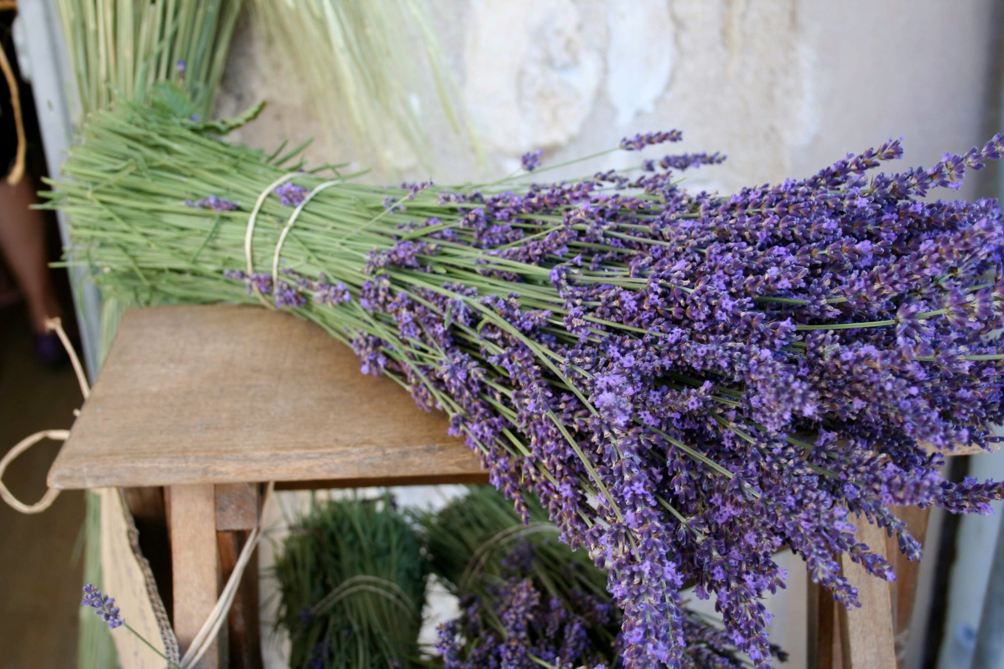 Lavender: The Purple Queen of Herbs
