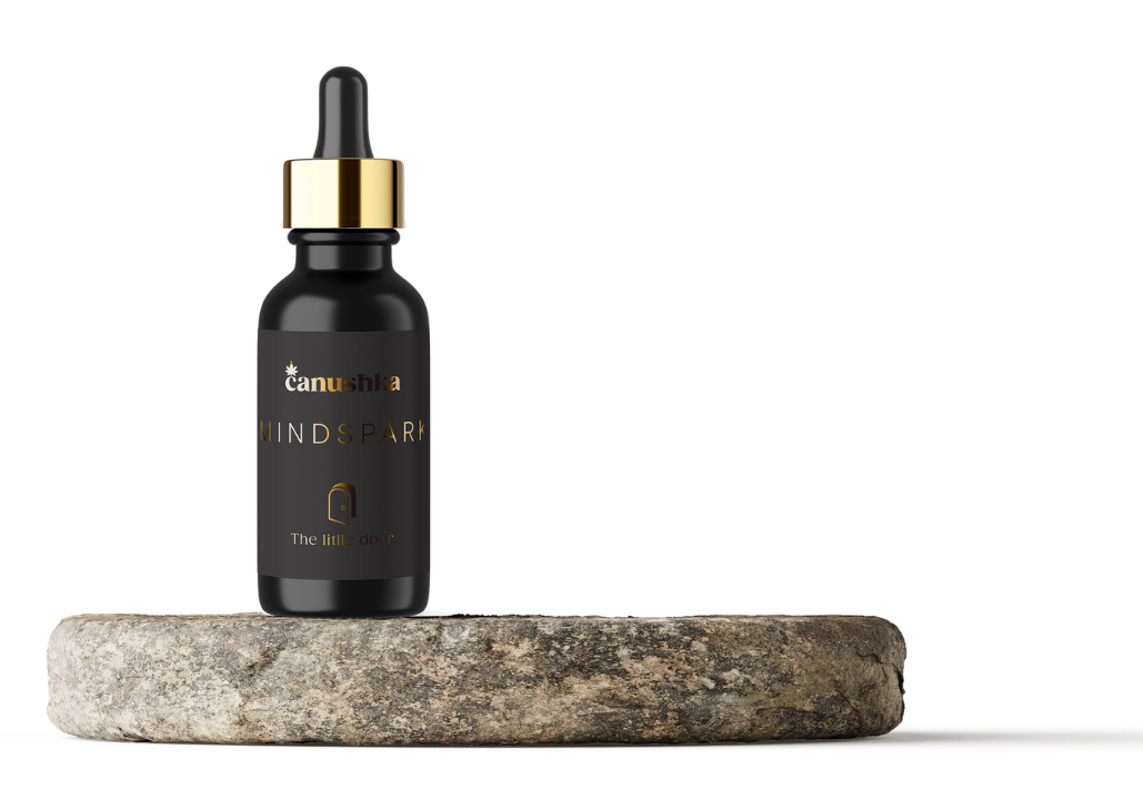 THE LITTLE DOOR BY CANUSHKA