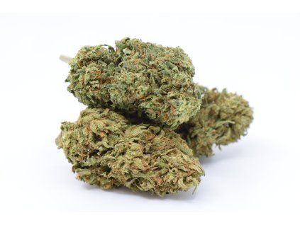 Lemon Tangie GH 10896 .