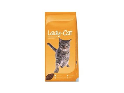 lady cat