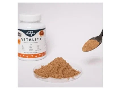 Fungee prasok vitality 300x300