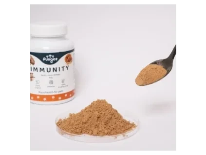 Fungee prasok immunity 300x300