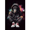 Monkey in nike hoodie plagát