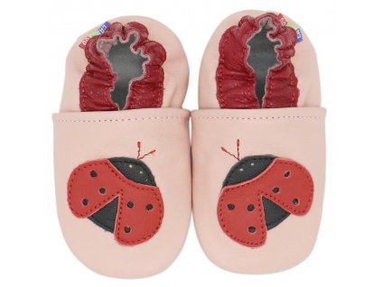 ladybug pink 1 08005