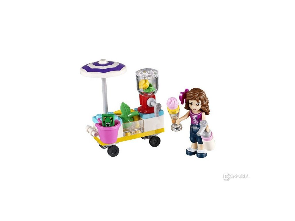 Lego hotsell friends 30202