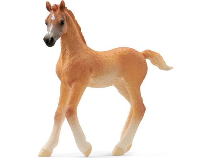 Schleich® 13984 arabské hříbě