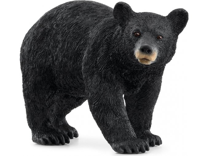 Schleich® 14869 medvěd černý