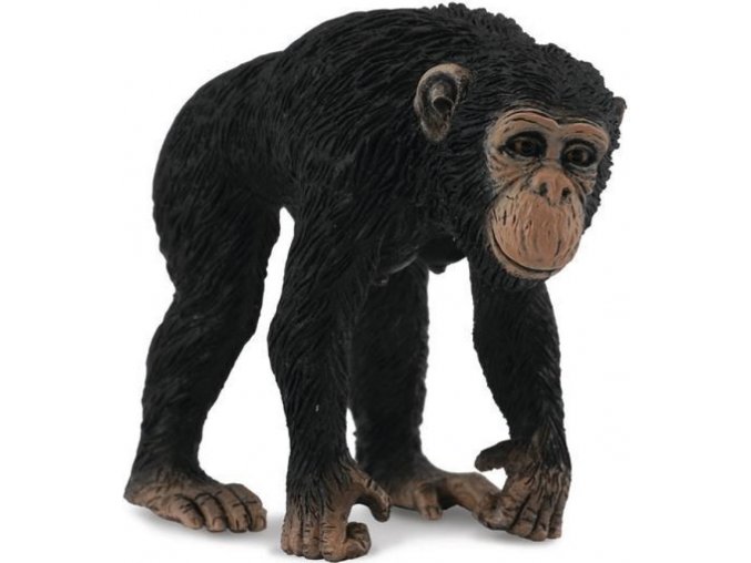 Collecta 88493 Šimpanz - samice