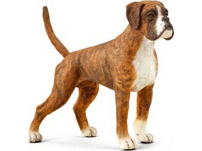Collecta 88936 Boxer
