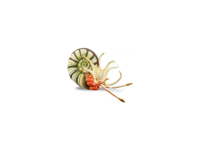 Collecta 88902 Pleuroceras amonit