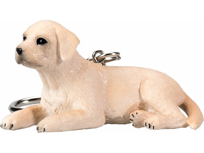 Mojo Klíčenka štěně labradora