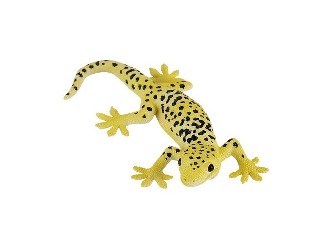 Mojo Gekončík noční