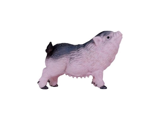 Mojo Vietnamské svislobřiché prase sele