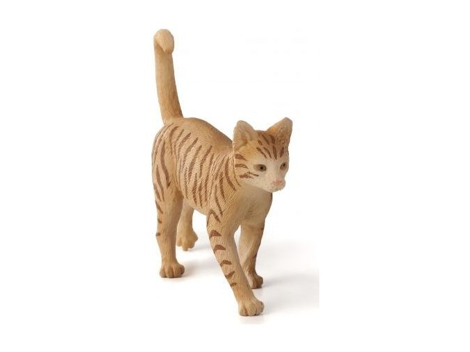 387283 GINGER TABBY CAT e1485454857215 382x540